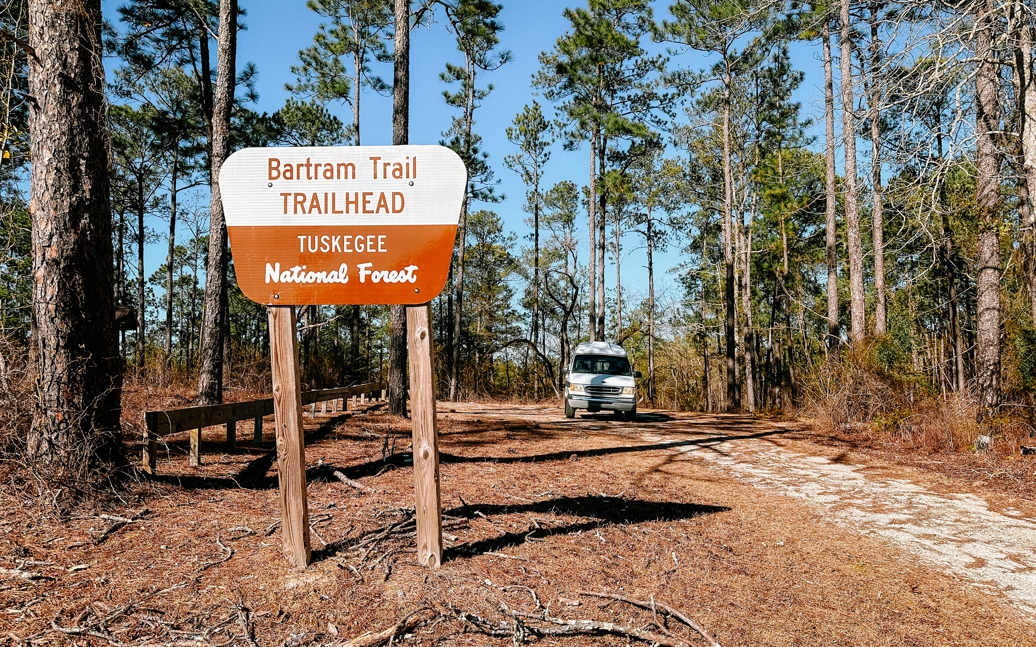 Driving Loki Through Tuskegee National Forest