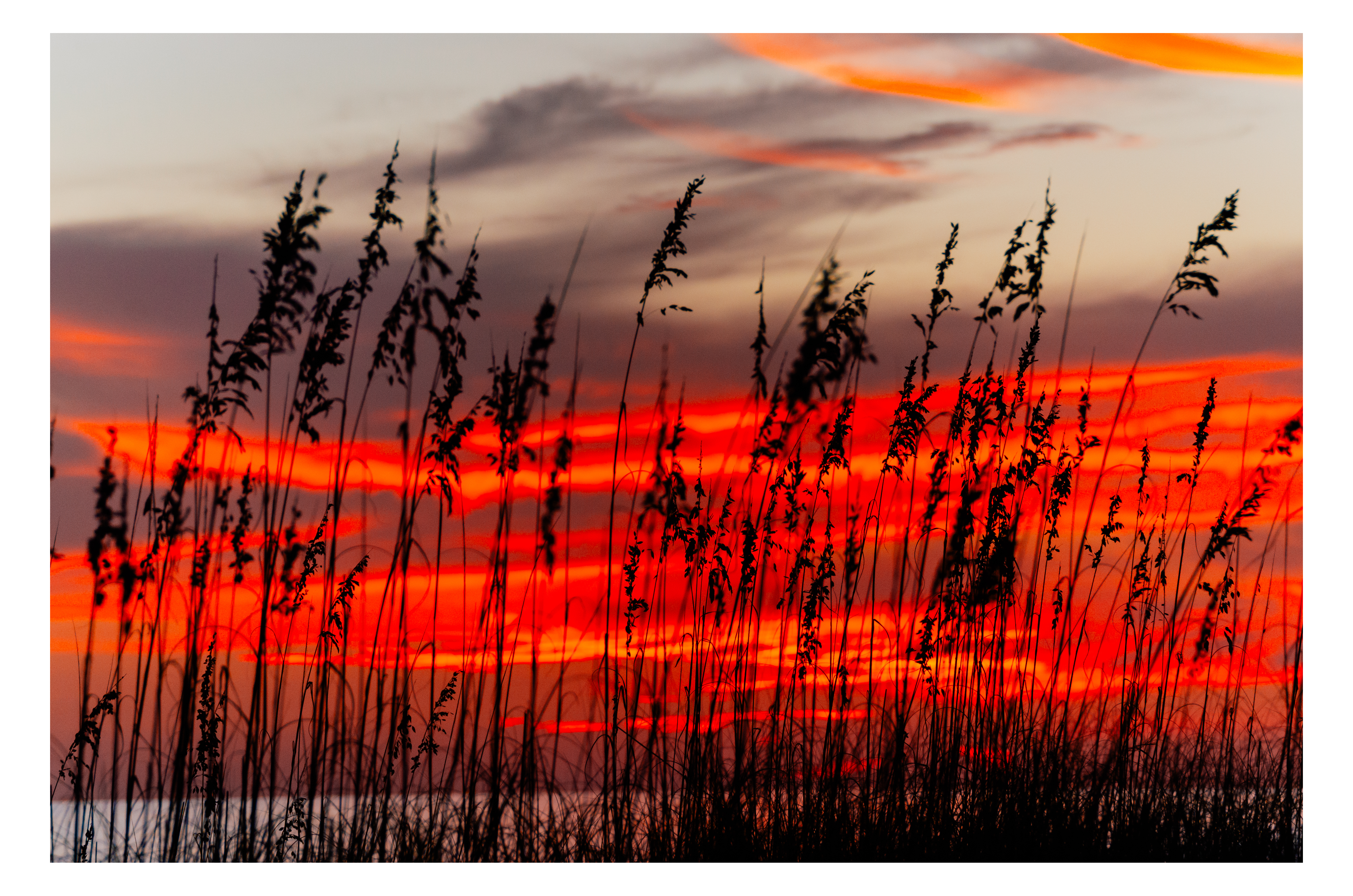 Sunset Over the Gulf of Mexico