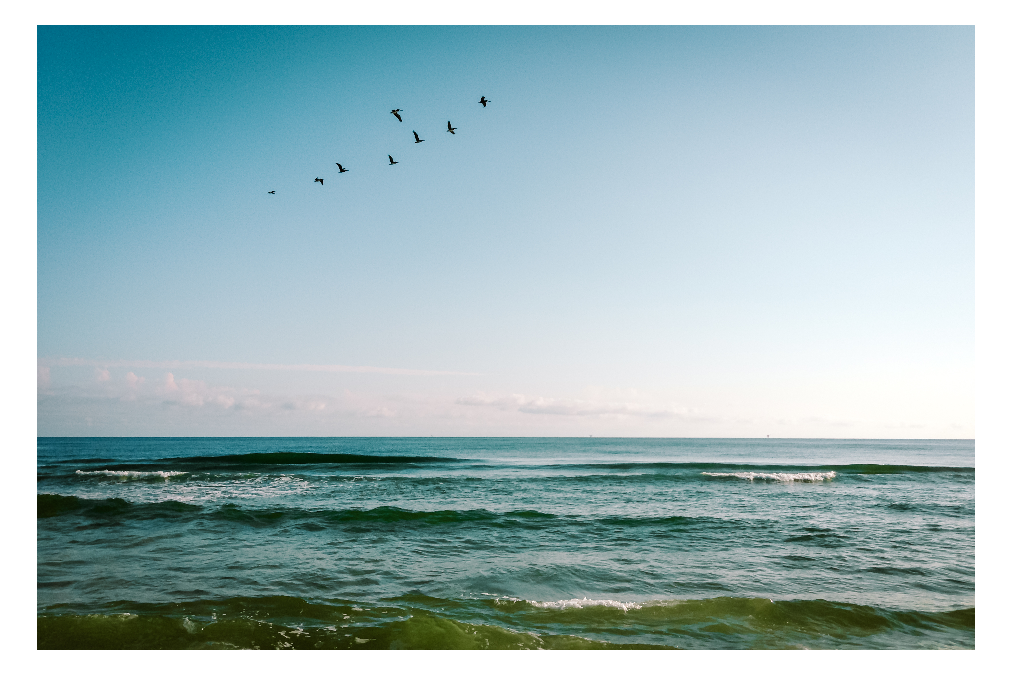 Birds Flying Across the Gulf of Mexico